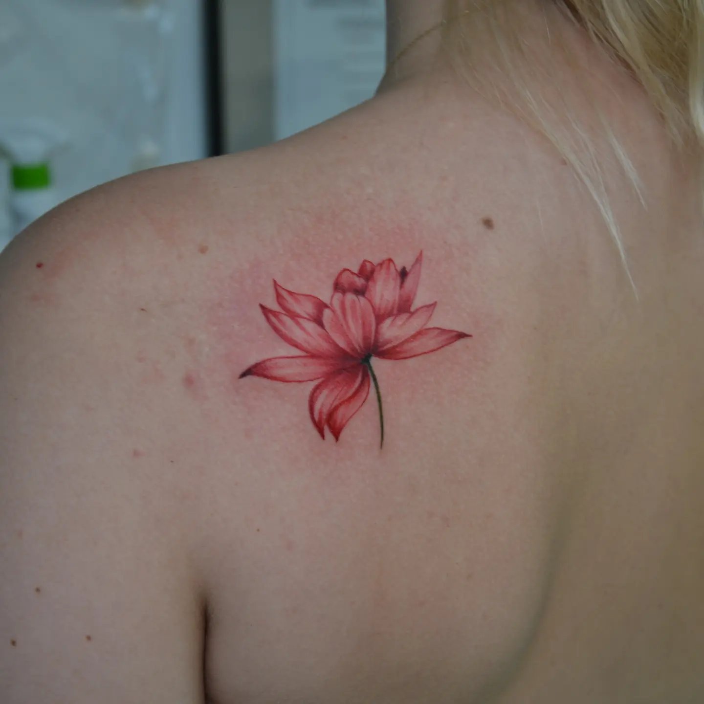 galerie tatuaje top notch tattoo roman - tatuaj color